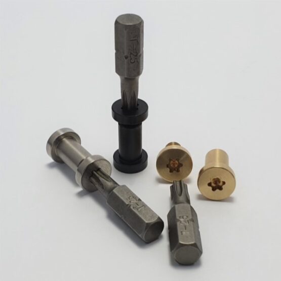 Torx Bit T25 1/4" Shank with Gulso Bolts 3/8"